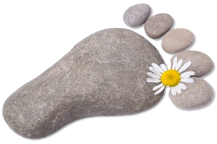 Fuss fotolia 92821384